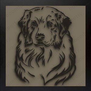 8x8 Framed Australian Shepherd #3 Designer Print